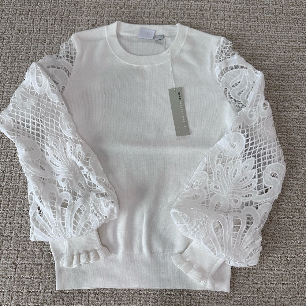 Lace Sleeve Sweater